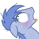 Samolepka