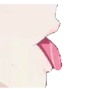Stika