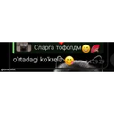 Stika